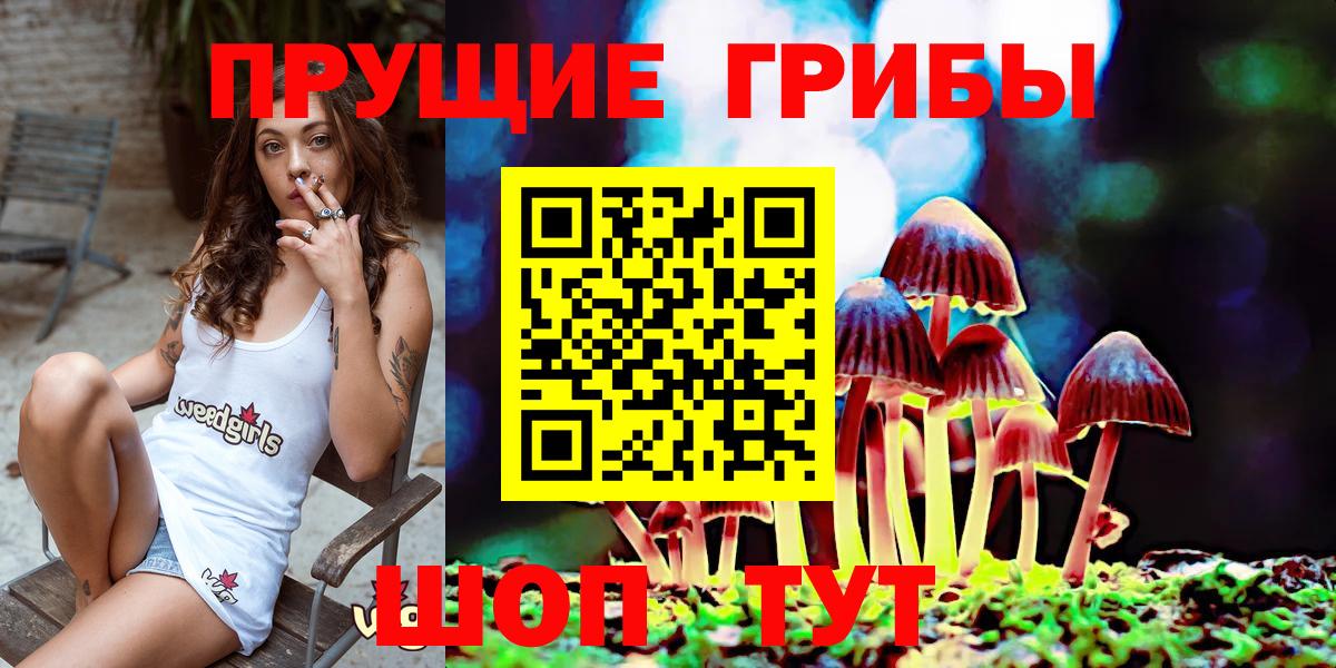 Псилоцибиновые грибы Psilocybine cubensis  Вход с VPN  Кемерово 
